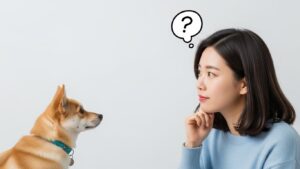 반려동물자격증정부지원제도